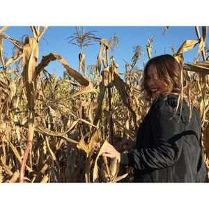 Meet your Posher, Catie